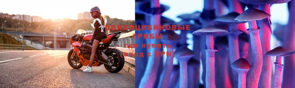 бутират Лиски