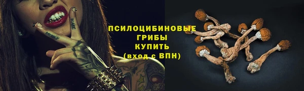 герыч Липки