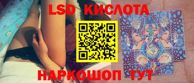 спиды Сланцы