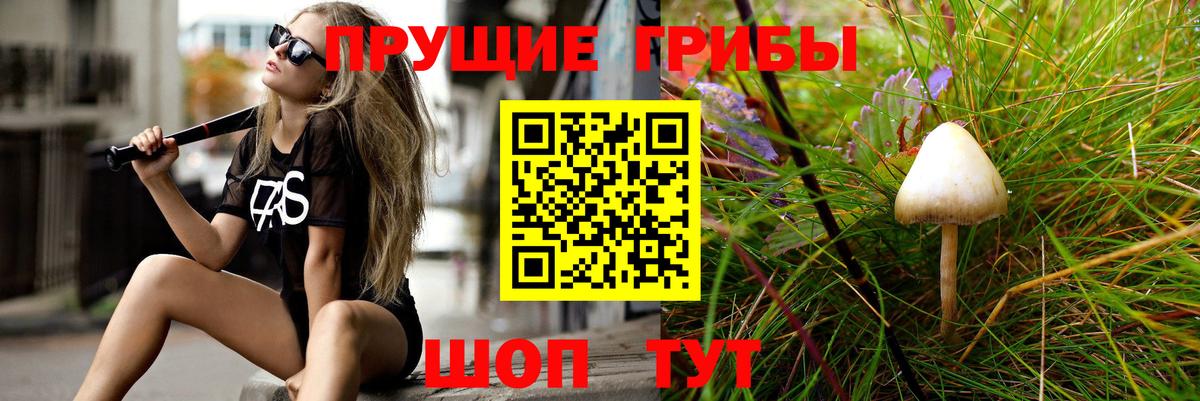 Псилоцибиновые грибы прущие грибы  Вход с VPN  Янаул  Галлюциногенные грибы MAGIC MUSHROOMS 