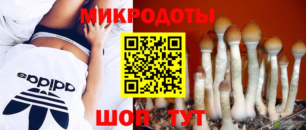 Псилоцибиновые грибы Magic Shrooms Янаул